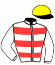 S.C.E.A.Carant/r.Houri/p. Sejaud/