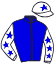 S.D. Forets