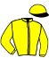 S.G. Arabians