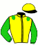 Shawthingracingpartnership (D