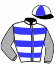 Sir Peter Vela & Silver Fern Stable