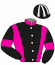 S.J. Racing Stable Hb