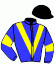Skymarc/tolmi/haras de Montaigu