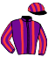 S.R. L Dream Horse