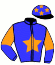 S.R. Stable