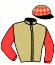 S.R. Stable