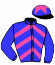 S.S.V.U.V. Stables