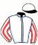 Stall Challenger Horse