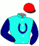 Stall Lily