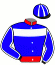 Stall Travdrom