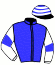 Stallschwalbe