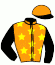 S. Stable