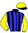 Stud Blue Mountain
