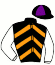 Stud Placilla