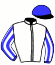 Summerhill Stud Syndicate (Nom: M J B Goss)