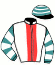 Super Molly Racing Syndicate