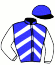 S.Y.E. Viejo