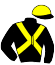 T J Low-Shang & Messrs A C Fortune, S F G Habib, G D E Kahan, L M Ngcamu &