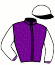 T Josef & Messrs L M Nestadt & J Shill