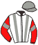 T. Nakanishi/tetra United