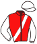 T. Storme/haras des Sablonnets