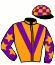 Tai Po Rotary Racing Syndicate