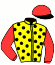 The Bulawayo Racing Syndicate (Nom: P G Borley)