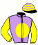The Dutch Master Stables/niederl