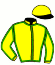 The Hk Racehorse Owners Association Syndicate