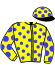 The New Fairyhouse Partnership