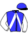V. Hippisme