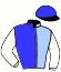 V. Juan Garcia