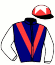 Ventura Racing (Copper) & Partne