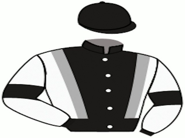 Vestman Li