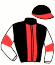 Visser S