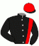 Vsg Trav & Dressyr Hb