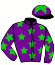 Westward Bloodstock Ltd