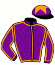 Wicklow Bloodstock (Ireland) Ltd