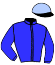Wildenstein Stables Ltd