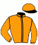 W.S.H. Stable