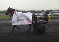 Briac Dark