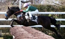 Quietly Winner