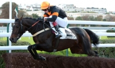 Labeille