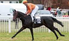 Fly Nonantais