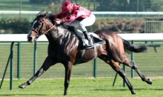 Samardal