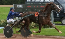 Perle du Puits