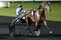 Rafale des Lucas