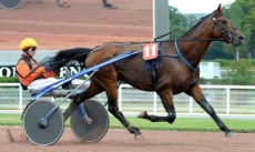 Racing Rainbow