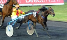 Quiby des Caillons