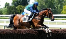 Will Tonic
